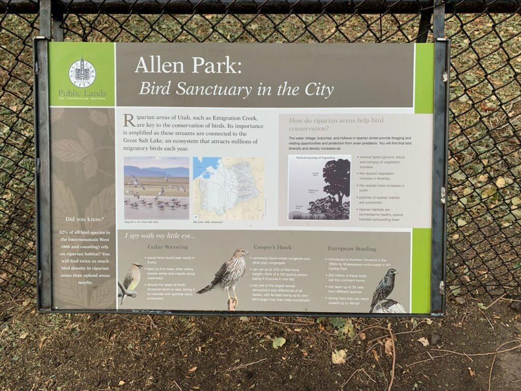 allenpark-08