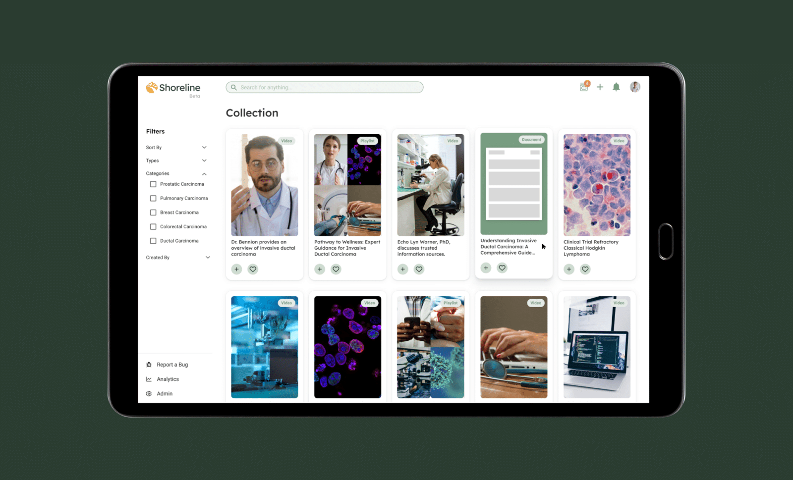 Shoreline UI/UX App - Anchor & Alpine